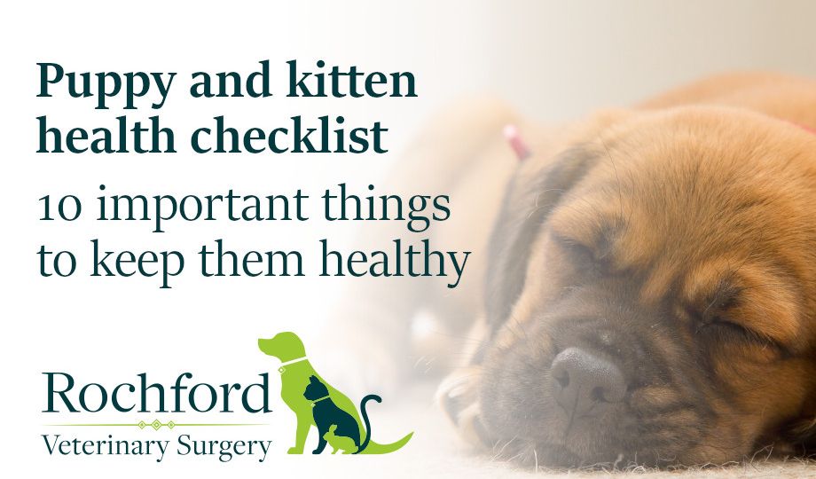 Puppy and Kitten health checklist