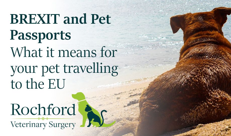 Pet passports sales no deal brexit