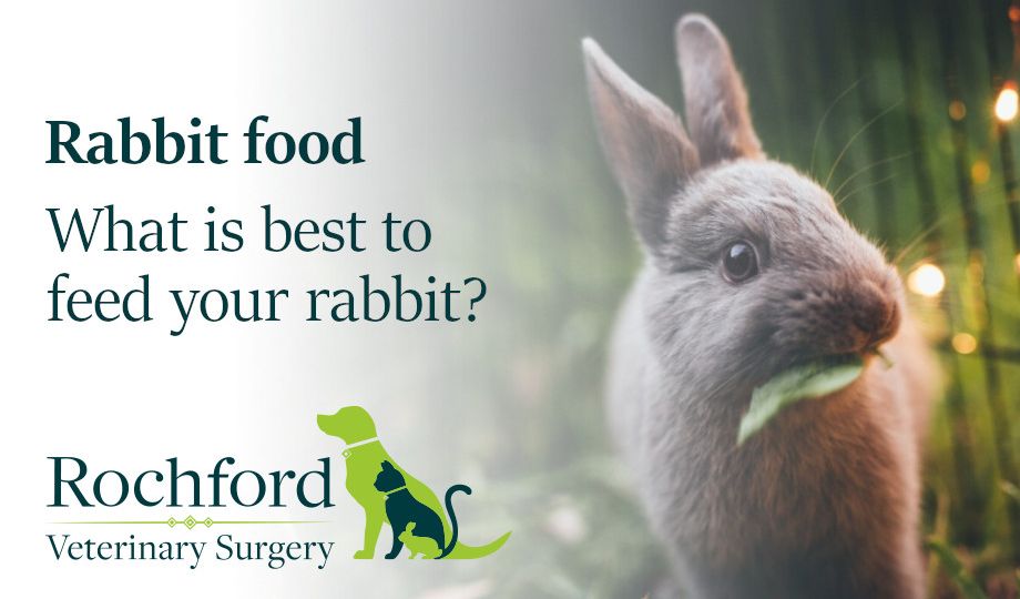 Rabbit food