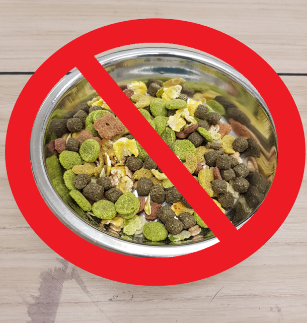 Rabbit food What is best to feed your rabbit? Rochford Vets