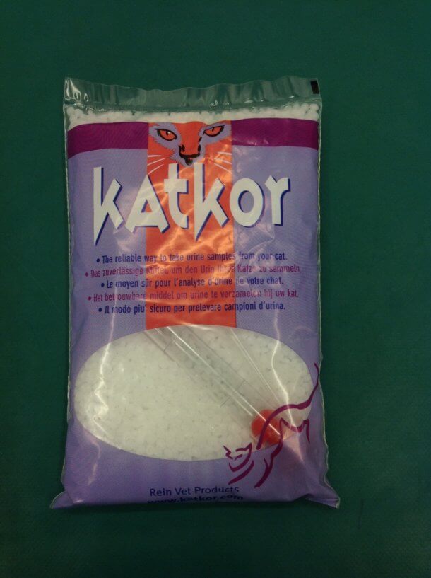 How to collect a cat urine sample our best tips Rochford Vets