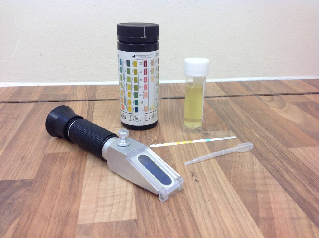 How to collect a cat urine sample our best tips Rochford Vets