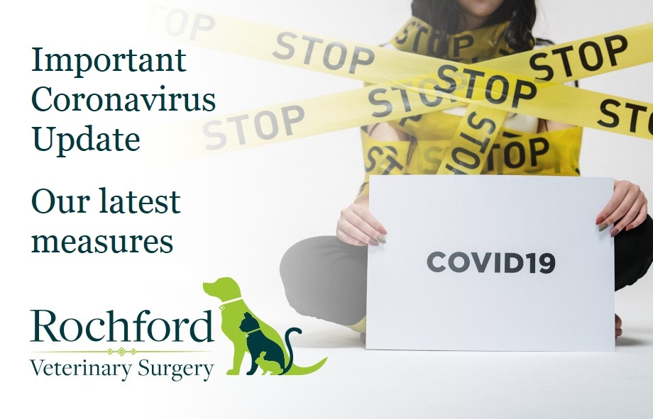 coronavirus