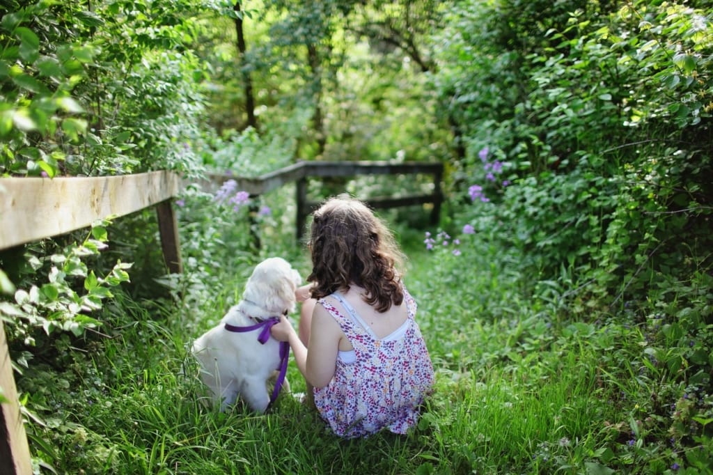 puppy in woods