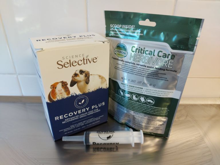 Syringe Feeding Important nutrition for sick rabbits Rochford Vets