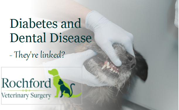 Diabetes and dental pic