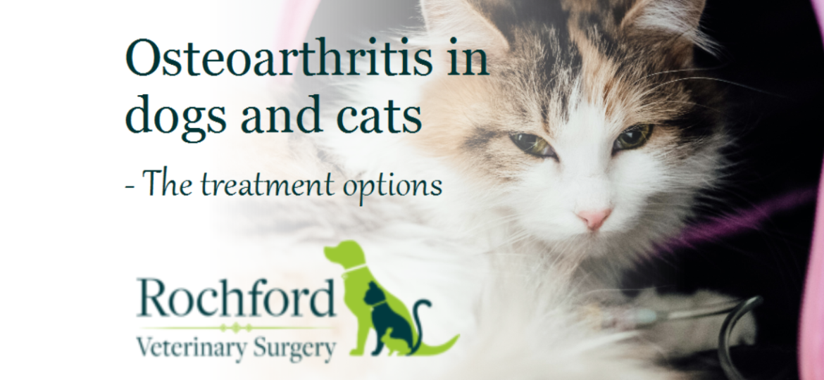 OA treatment feat pic