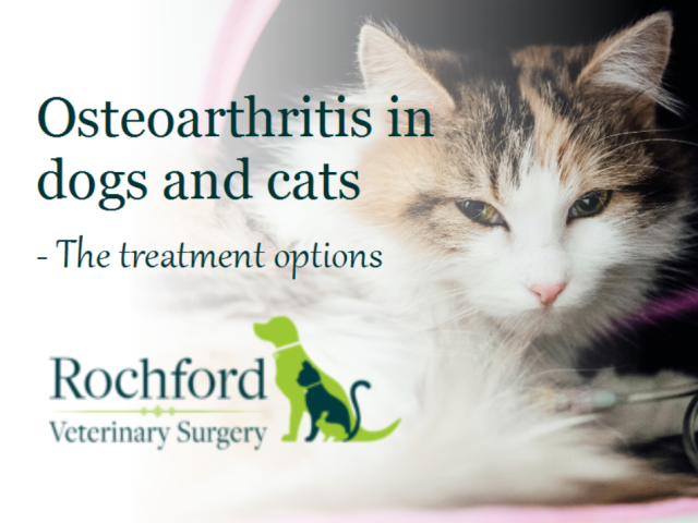 OA treatment feat pic