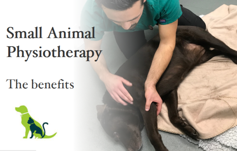 Physio feature pic
