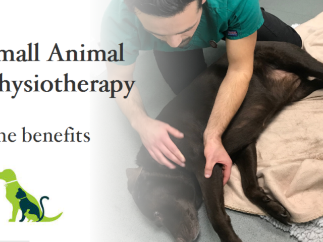 Physio feature pic